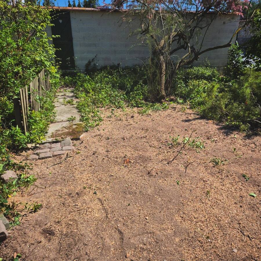 Après : sol nivelé, souches rognées, copeaux au sol